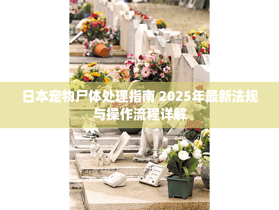 日本宠物尸体处理指南 2025年最新法规与操作流程详解