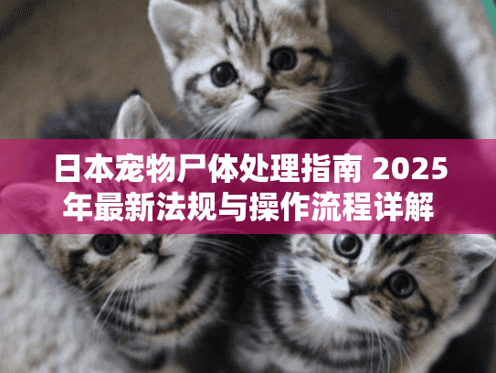 日本宠物尸体处理指南 2025年最新法规与操作流程详解