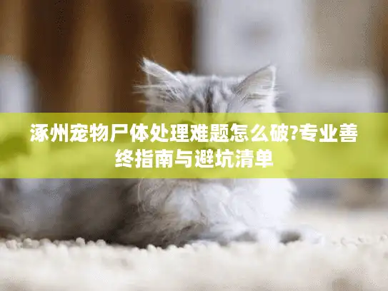 涿州宠物尸体处理难题怎么破?专业善终指南与避坑清单 涿州宠物尸体处理难题怎么破?专业善终指南与避坑清单