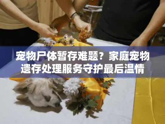 宠物尸体暂存难题？家庭宠物遗存处理服务守护最后温情