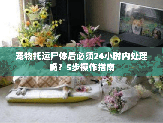 宠物托运尸体后必须24小时内处理吗?5步操作指南 宠物托运尸体后必须24小时内处理吗?5步操作指南