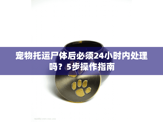 宠物托运尸体后必须24小时内处理吗?5步操作指南 宠物托运尸体后必须24小时内处理吗?5步操作指南