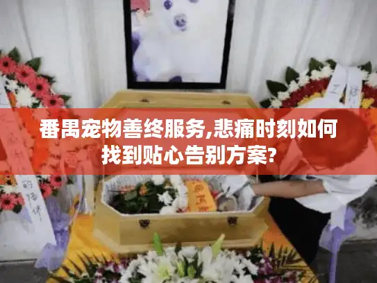 番禺宠物善终服务,悲痛时刻如何找到贴心告别方案?