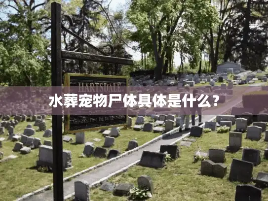 水葬宠物尸体具体是什么？