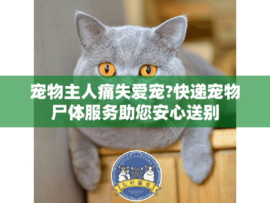 宠物主人痛失爱宠?快递宠物尸体服务助您安心送别