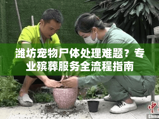 潍坊宠物尸体处理难题?专业殡葬服务全流程指南 潍坊宠物尸体处理难题?专业殡葬服务全流程指南