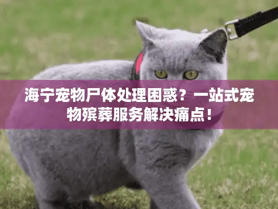 海宁宠物尸体处理困惑?一站式宠物殡葬服务解决痛点! 海宁宠物尸体处理困惑?一站式宠物殡葬服务解决痛点!