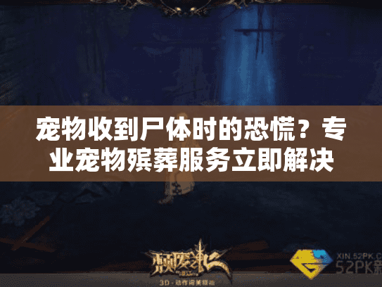 宠物收到尸体时的恐慌？专业宠物殡葬服务立即解决