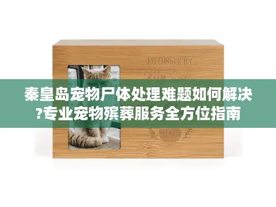 秦皇岛宠物尸体处理难题如何解决?专业宠物殡葬服务全方位指南
