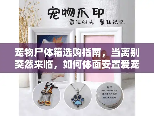 宠物尸体箱选购指南，当离别突然来临，如何体面安置爱宠？