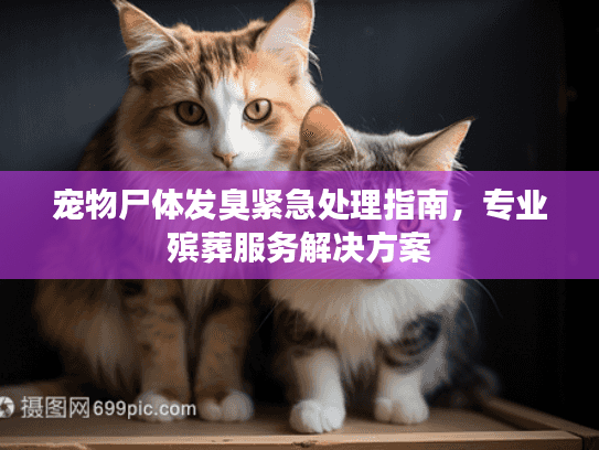 宠物尸体发臭紧急处理指南,专业殡葬服务解决方案 宠物尸体发臭紧急处理指南,专业殡葬服务解决方案