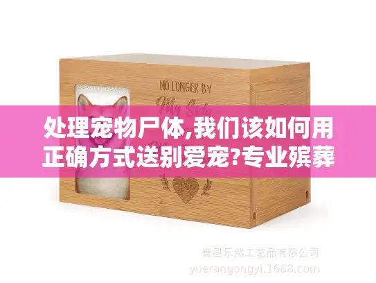 处理宠物尸体,我们该如何用正确方式送别爱宠?专业殡葬指南 处理宠物尸体,我们该如何用正确方式送别爱宠?专业殡葬指南