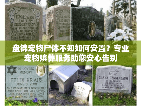 盘锦宠物尸体不知如何安置？专业宠物殡葬服务助您安心告别