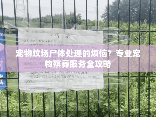 宠物坟场尸体处理的烦恼?专业宠物殡葬服务全攻略 宠物坟场尸体处理的烦恼?专业宠物殡葬服务全攻略