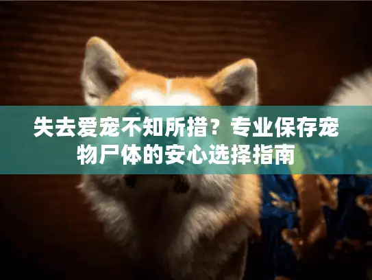 失去爱宠不知所措？专业保存宠物尸体的安心选择指南