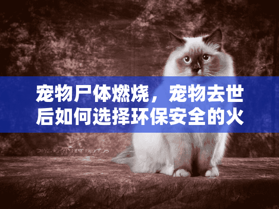 宠物尸体燃烧，宠物去世后如何选择环保安全的火化服务？