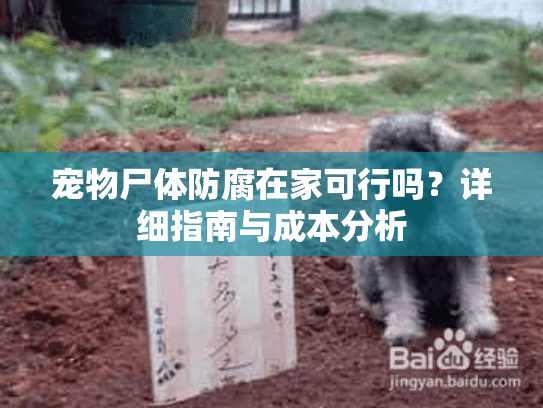 宠物尸体防腐在家可行吗？详细指南与成本分析