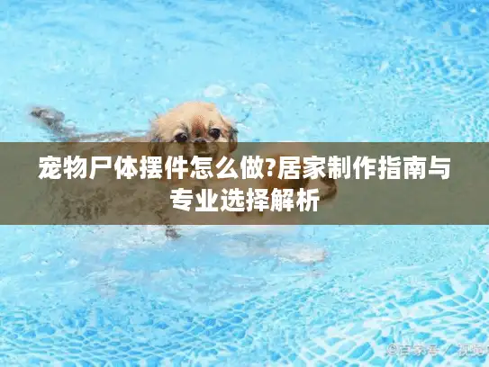 宠物尸体摆件怎么做?居家制作指南与专业选择解析 宠物尸体摆件怎么做?居家制作指南与专业选择解析