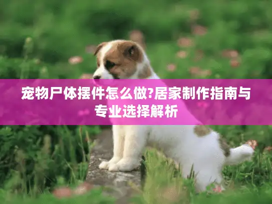 宠物尸体摆件怎么做?居家制作指南与专业选择解析 宠物尸体摆件怎么做?居家制作指南与专业选择解析