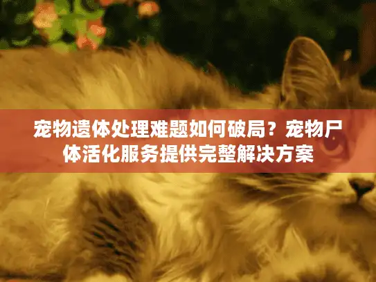 宠物遗体处理难题如何破局？宠物尸体活化服务提供完整解决方案