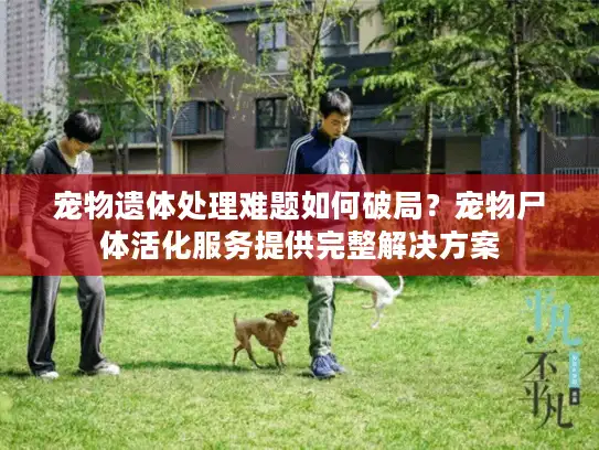 宠物遗体处理难题如何破局？宠物尸体活化服务提供完整解决方案