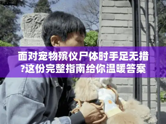 面对宠物殡仪尸体时手足无措?这份完整指南给你温暖答案