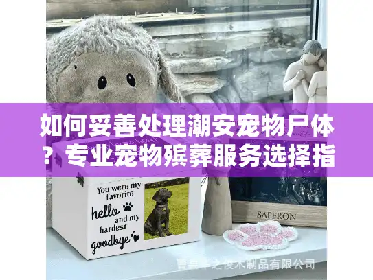 如何妥善处理潮安宠物尸体？专业宠物殡葬服务选择指南