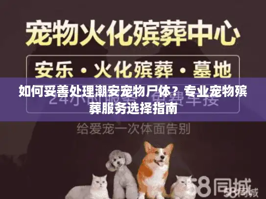 如何妥善处理潮安宠物尸体？专业宠物殡葬服务选择指南
