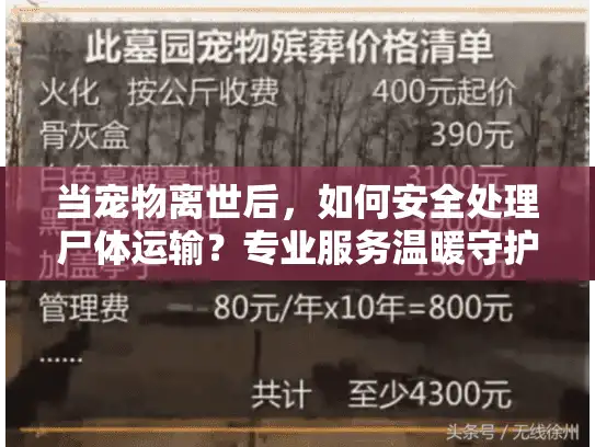 当宠物离世后，如何安全处理尸体运输？专业服务温暖守护最后旅程