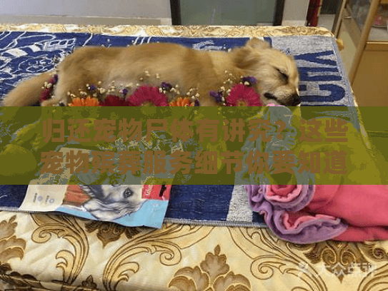 归还宠物尸体有讲究？这些宠物殡葬服务细节你要知道