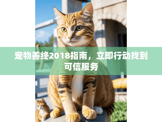 宠物善终2018指南,立即行动找到可信服务 宠物善终2018指南,立即行动找到可信服务