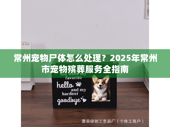 常州宠物尸体怎么处理？2025年常州市宠物殡葬服务全指南
