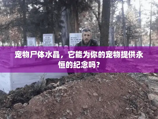宠物尸体水晶,它能为你的宠物提供永恒的纪念吗? 宠物尸体水晶,它能为你的宠物提供永恒的纪念吗?