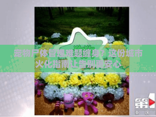 宠物尸体管理难题缠身?这份城市火化指南让告别更安心 宠物尸体管理难题缠身?这份城市火化指南让告别更安心