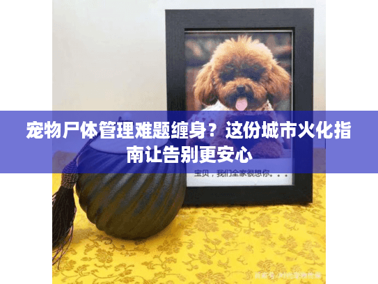 宠物尸体管理难题缠身?这份城市火化指南让告别更安心 宠物尸体管理难题缠身?这份城市火化指南让告别更安心