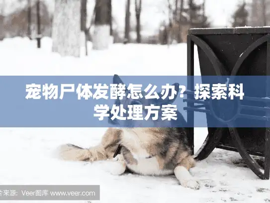 宠物尸体发酵怎么办？探索科学处理方案
