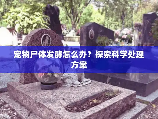 宠物尸体发酵怎么办？探索科学处理方案
