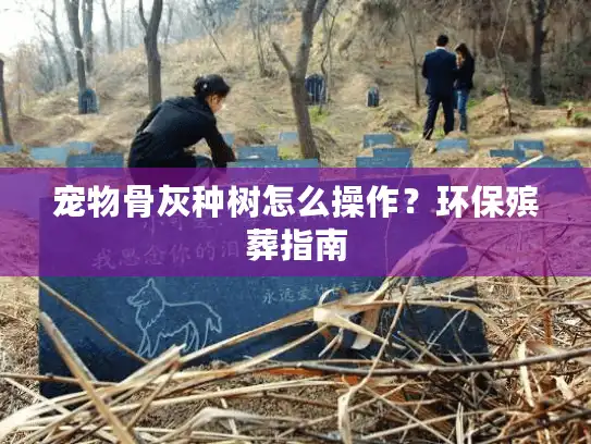 宠物骨灰种树怎么操作？环保殡葬指南