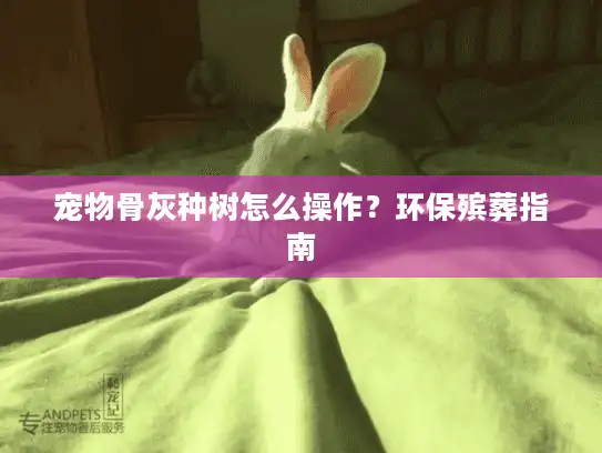 宠物骨灰种树怎么操作？环保殡葬指南