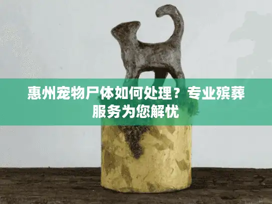 惠州宠物尸体如何处理？专业殡葬服务为您解忧