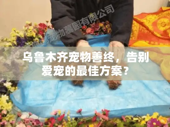 乌鲁木齐宠物善终，告别爱宠的最佳方案？
