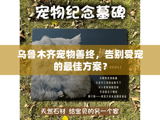 乌鲁木齐宠物善终，告别爱宠的最佳方案？