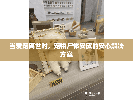 当爱宠离世时，宠物尸体安放的安心解决方案