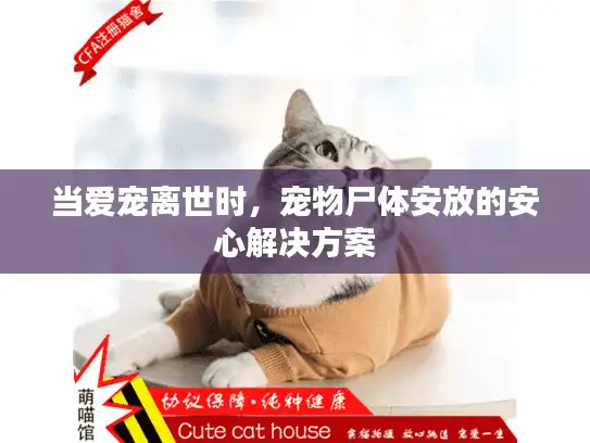 当爱宠离世时，宠物尸体安放的安心解决方案