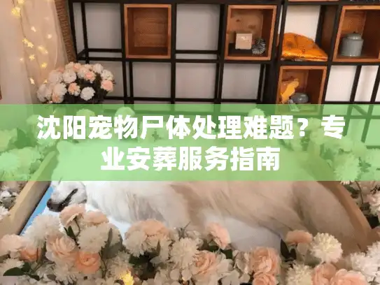 沈阳宠物尸体处理难题?专业安葬服务指南 沈阳宠物尸体处理难题?专业安葬服务指南
