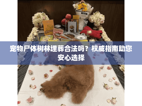 宠物尸体树林埋葬合法吗？权威指南助您安心选择