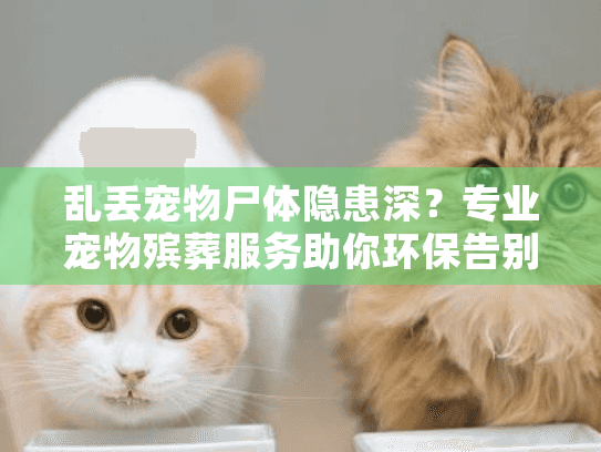 乱丢宠物尸体隐患深？专业宠物殡葬服务助你环保告别