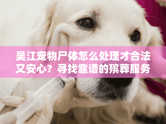 吴江宠物尸体怎么处理才合法又安心？寻找靠谱的殡葬服务指南