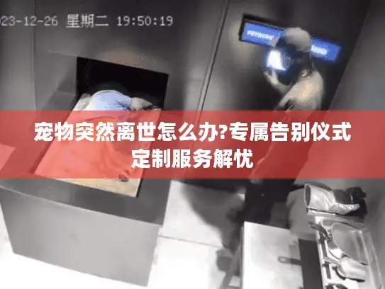 宠物突然离世怎么办?专属告别仪式定制服务解忧 宠物突然离世怎么办?专属告别仪式定制服务解忧