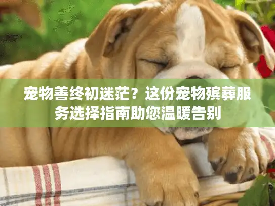 宠物善终初迷茫？这份宠物殡葬服务选择指南助您温暖告别